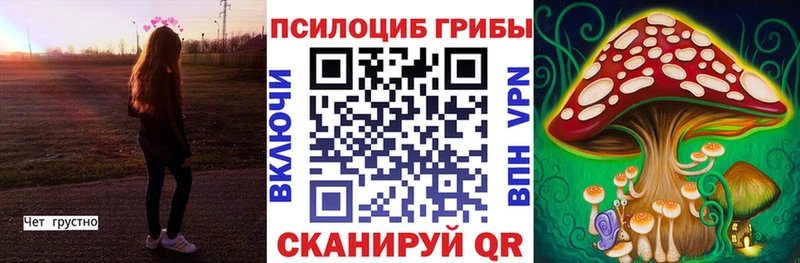 Галлюциногенные грибы Magic Shrooms  Купить  Североморск 